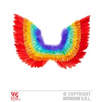 Engelsflügel Regenbogen aus Federn