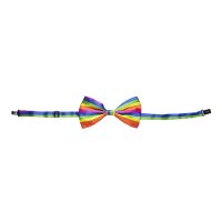 Fliege Regenbogen