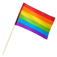 Handfahne mit Stab 76 cm Regenbogen