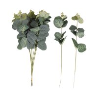 Dekozweige Eukalyptus