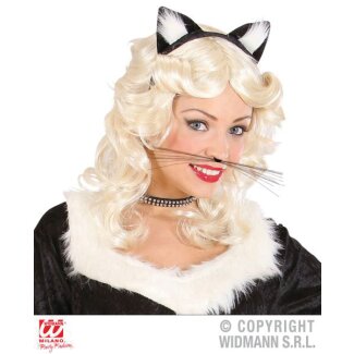 Katzen Schnurrbart