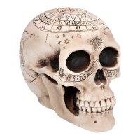 Schädel Astronomie 20 cm