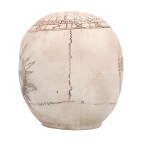 Schädel Astronomie 20 cm