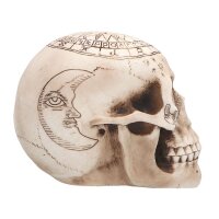 Schädel Astronomie 20 cm
