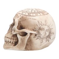 Schädel Astronomie 20 cm