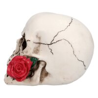 Schädel Casanova mit Rose 14 cm