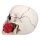 Schädel Casanova mit Rose 14 cm