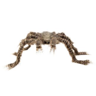 Haarige Spinne 50 x 70 cm
