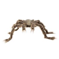Haarige Spinne 50 x 70 cm