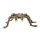 Haarige Spinne 50 x 70 cm
