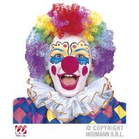 Clownsnase rot