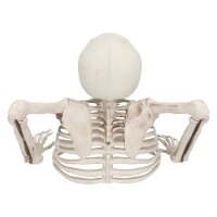 Deko-Skelett 20 cm