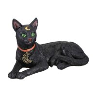 CHAKS Schwarze Katze