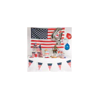 Luftballons USA 25,4cm 6er