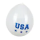 Luftballons USA 25,4cm 6er