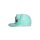 Pokémon - Bisasam Novelty Cap
