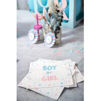 Servietten Boy or Girl 20teilig