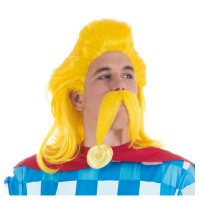 Perücke und Bart Asterix Troubadix