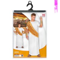 Römisches Toga-Kostüm mit Armschonern & Lorbeerkranz