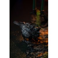 Polyresin Rabe schwarz