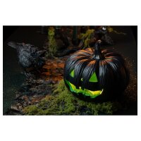 Polyresin Kürbis schwarz/grün mit LED-Licht