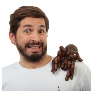 Schulterbuddy Tarantula