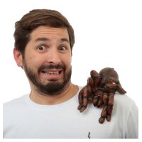 Schulterbuddy Tarantula