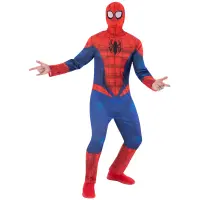 Kostüm Spiderman