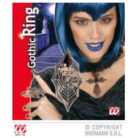 Ring Spinne mit Spinnennetz