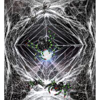 Spinnennetz weiß mit 3 Spinnen