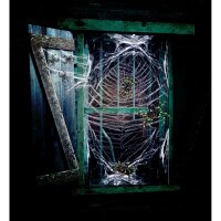 Spinnennetz weiß mit 3 Spinnen