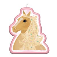 Kerze Pferd Beautiful Horses