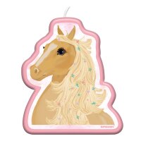 Kerze Pferd Beautiful Horses