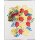 Konfetti Kuchen-Party mehrfarbig 14 g