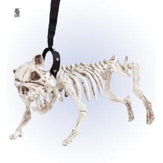 Hundeskelett