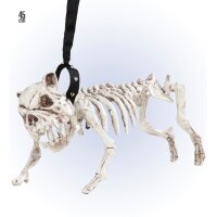 Hundeskelett