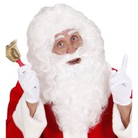 Weiße Perücke & Maxi-Bart