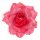 Haarspange rosa Rose