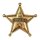 Sheriffstern gold
